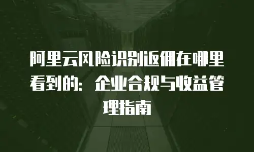 阿里云风险识别返佣在哪里看到的：企业合规与收益管理指南