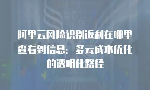 阿里云风险识别返利在哪里查看到信息：多云成本优化的透明化路径
