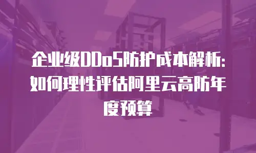 企业级DDoS防护成本解析：如何理性评估阿里云高防年度预算