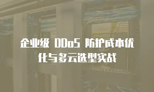 企业级 DDoS 防护成本优化与多云选型实战