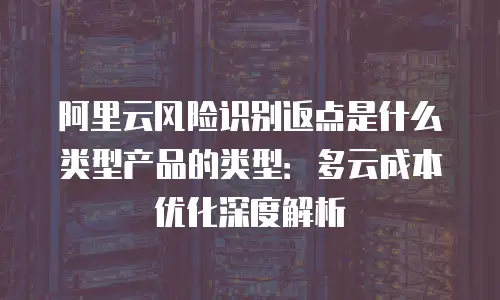 阿里云风险识别返点是什么类型产品的类型：多云成本优化深度解析