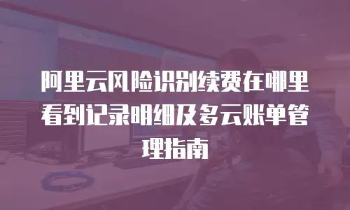 阿里云风险识别续费在哪里看到记录明细及多云账单管理指南
