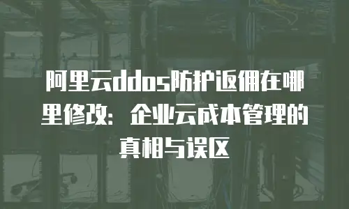 阿里云ddos防护返佣在哪里修改：企业云成本管理的真相与误区