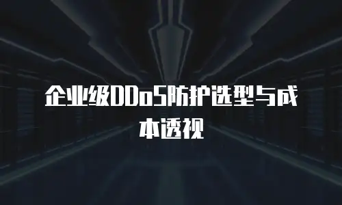 企业级DDoS防护选型与成本透视