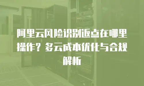 阿里云风险识别返点在哪里操作？多云成本优化与合规解析
