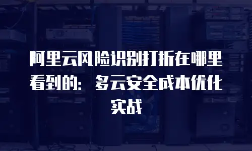 阿里云风险识别打折在哪里看到的：多云安全成本优化实战
