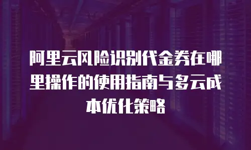 阿里云风险识别代金券在哪里操作的使用指南与多云成本优化策略