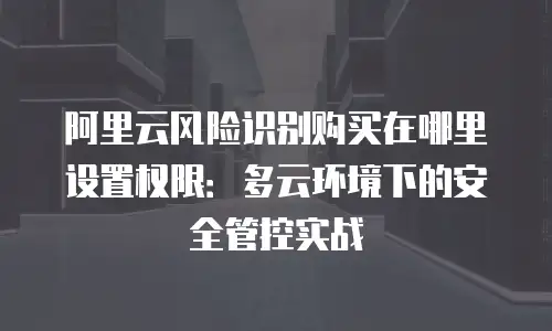 阿里云风险识别购买在哪里设置权限：多云环境下的安全管控实战
