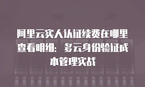 阿里云实人认证续费在哪里查看明细：多云身份验证成本管理实战