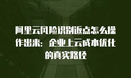 阿里云风险识别返点怎么操作出来：企业上云成本优化的真实路径