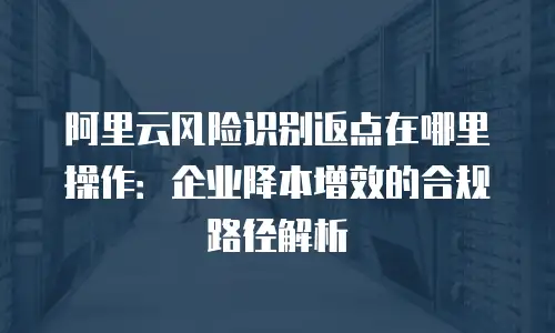阿里云风险识别返点在哪里操作：企业降本增效的合规路径解析