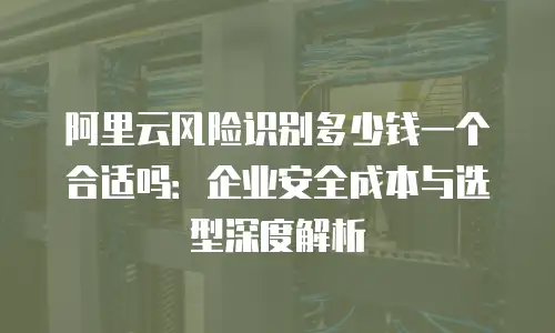 阿里云风险识别多少钱一个合适吗：企业安全成本与选型深度解析