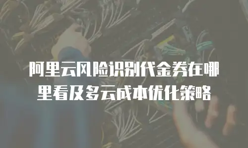 阿里云风险识别代金券在哪里看及多云成本优化策略