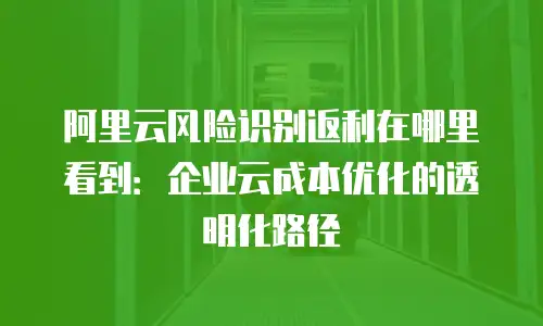 阿里云风险识别返利在哪里看到：企业云成本优化的透明化路径