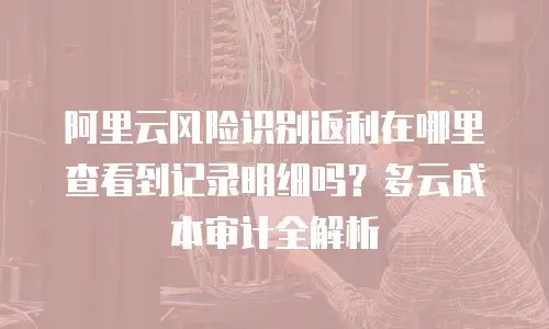 阿里云风险识别返利在哪里查看到记录明细吗？多云成本审计全解析