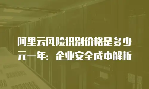 阿里云风险识别价格是多少元一年：企业安全成本解析