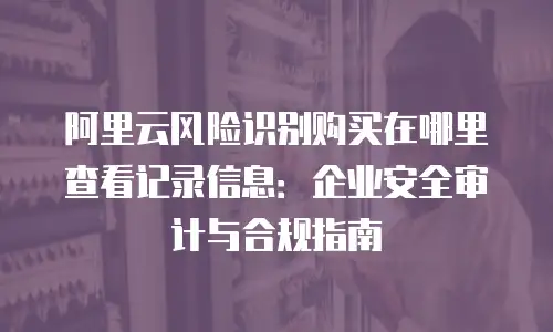 阿里云风险识别购买在哪里查看记录信息：企业安全审计与合规指南