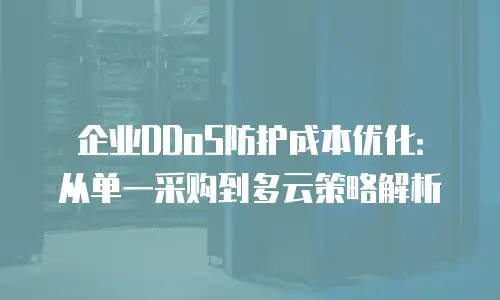 企业DDoS防护成本优化：从单一采购到多云策略解析
