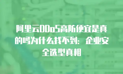 阿里云DDoS高防便宜是真的吗为什么找不到：企业安全选型真相