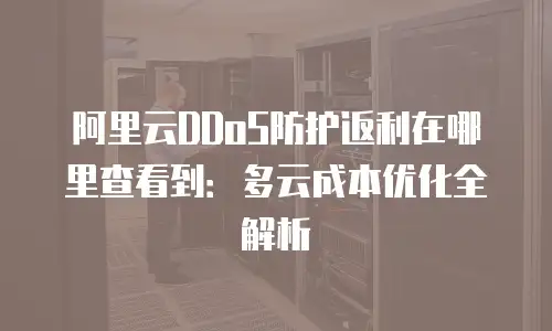 阿里云DDoS防护返利在哪里查看到：多云成本优化全解析