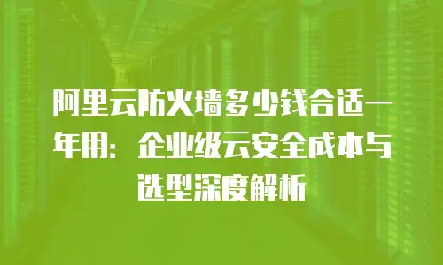 阿里云防火墙多少钱合适一年用：企业级云安全成本与选型深度解析