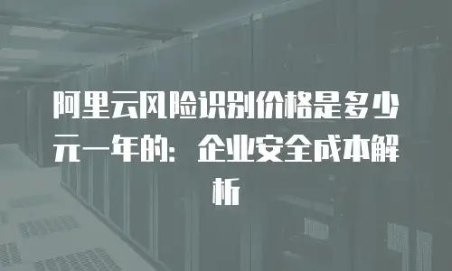 阿里云风险识别价格是多少元一年的：企业安全成本解析