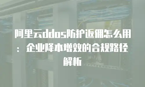 阿里云ddos防护返佣怎么用：企业降本增效的合规路径解析