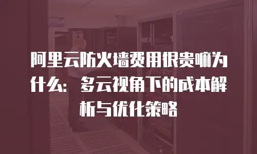 阿里云防火墙费用很贵嘛为什么：多云视角下的成本解析与优化策略
