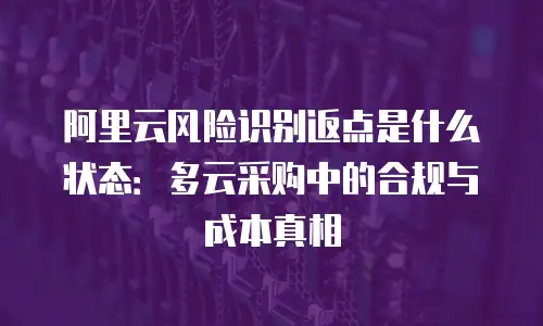阿里云风险识别返点是什么状态：多云采购中的合规与成本真相