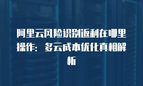 阿里云风险识别返利在哪里操作：多云成本优化真相解析