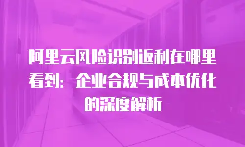 阿里云风险识别返利在哪里看到：企业合规与成本优化的深度解析