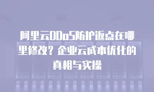 阿里云DDoS防护返点在哪里修改？企业云成本优化的真相与实操