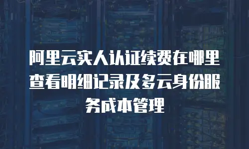 阿里云实人认证续费在哪里查看明细记录及多云身份服务成本管理