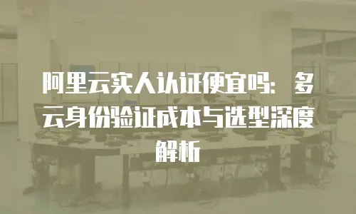 阿里云实人认证便宜吗：多云身份验证成本与选型深度解析