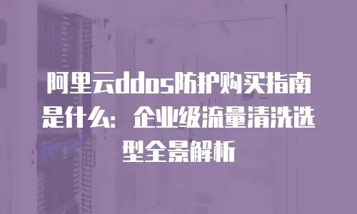 阿里云ddos防护购买指南是什么：企业级流量清洗选型全景解析