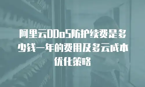 阿里云DDoS防护续费是多少钱一年的费用及多云成本优化策略
