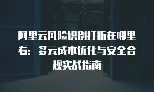 阿里云风险识别打折在哪里看：多云成本优化与安全合规实战指南