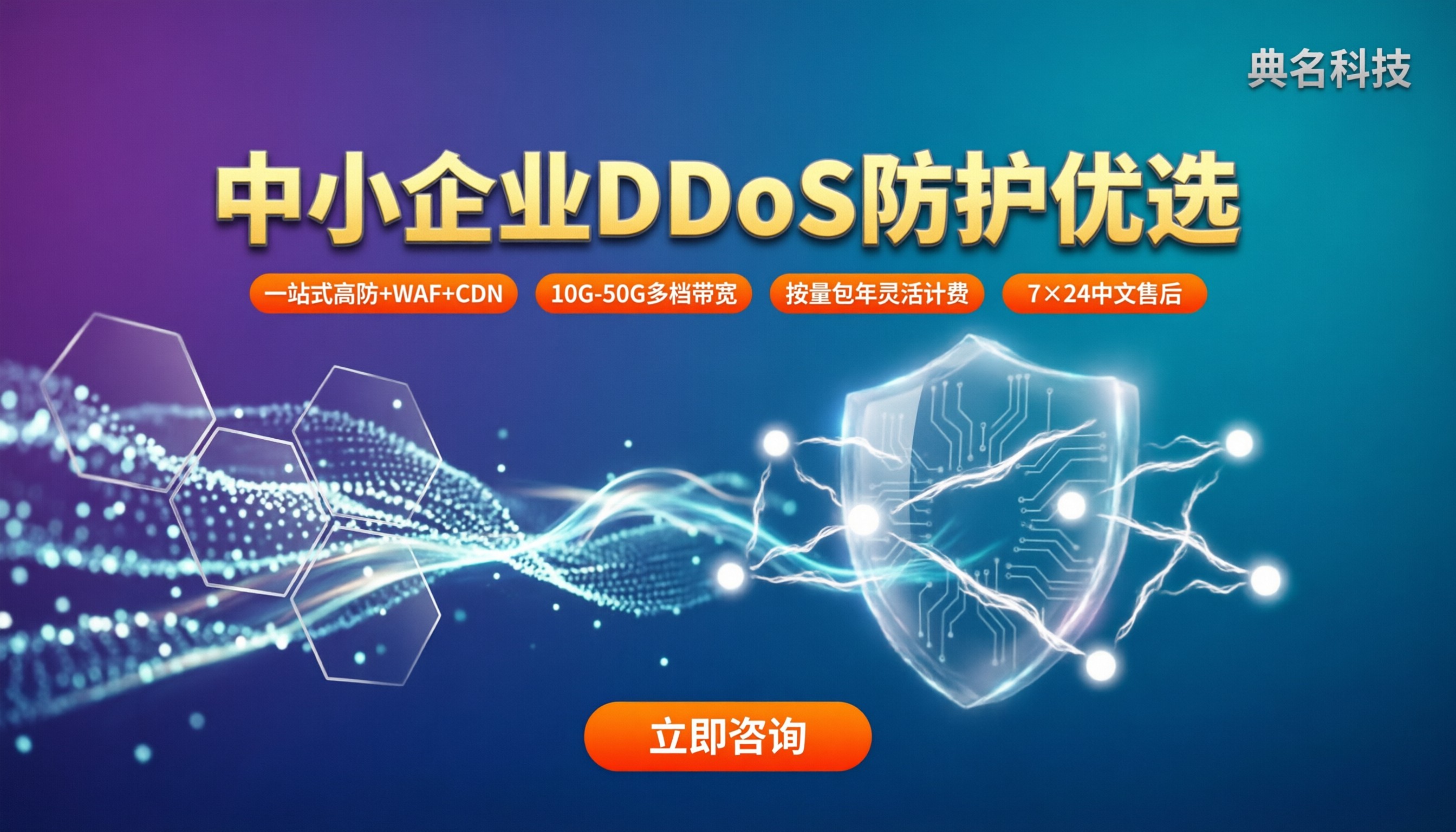 中小企业DDoS防护多少钱：对比方案怎么选？