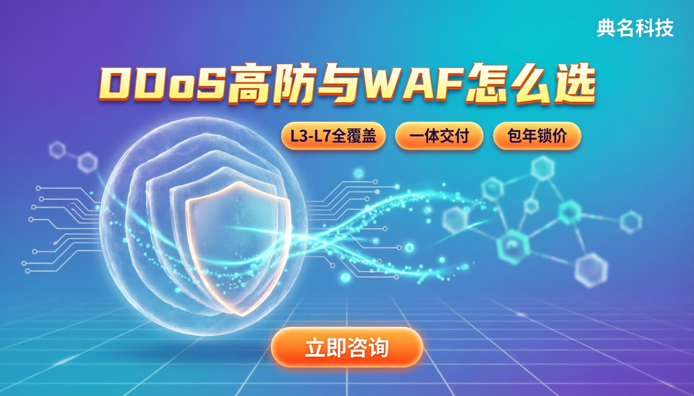 DDoS防护与WAF区别：怎么选不踩坑