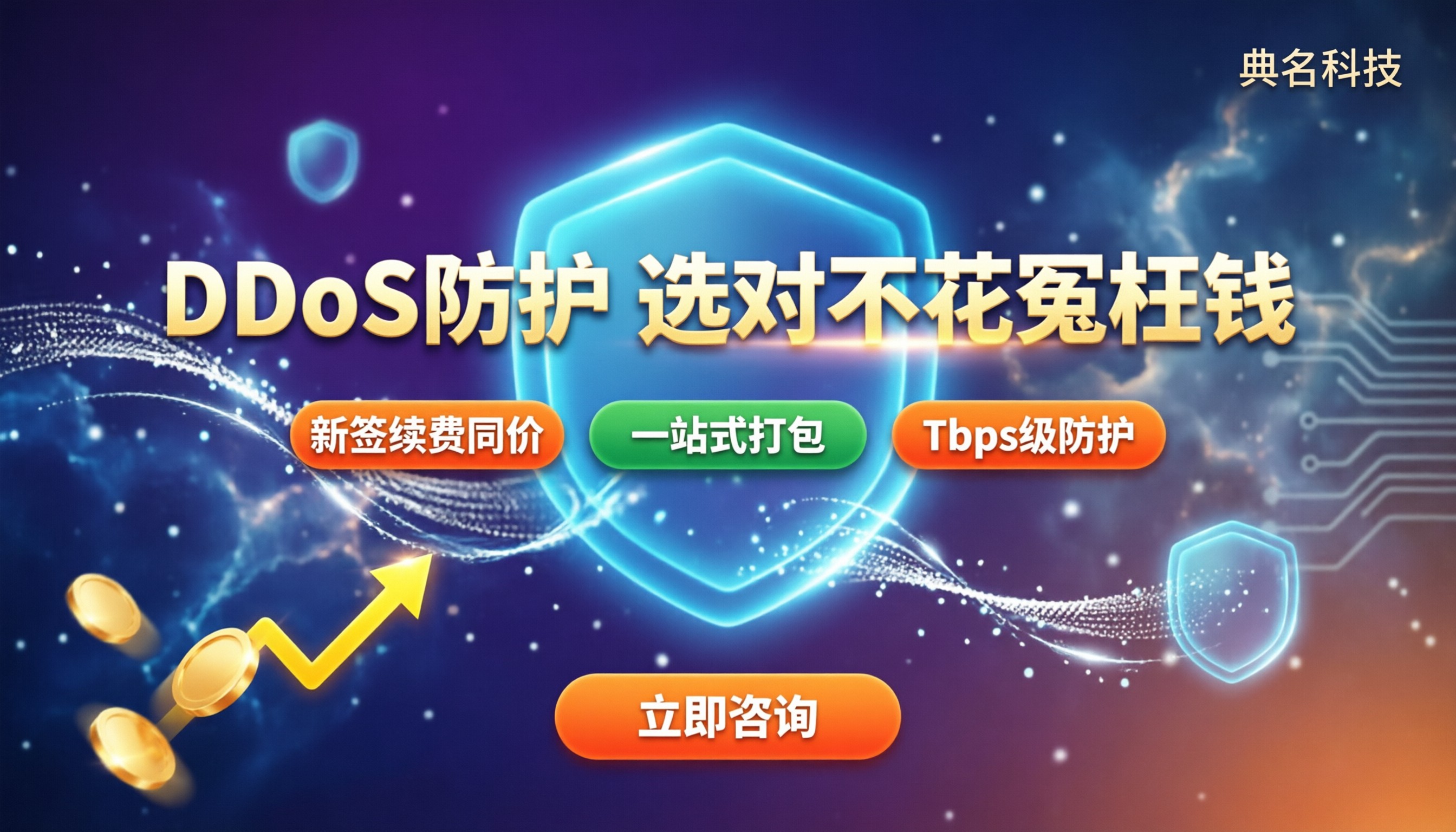 DDoS防护价格多少钱一个月:对比哪家更划算